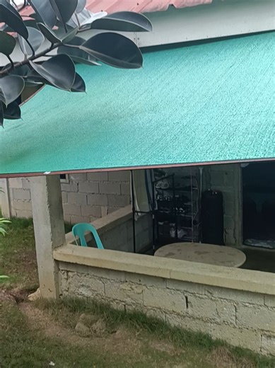 #sunnet #sunshadenet