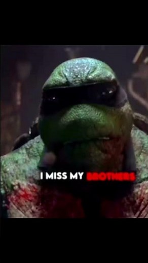 Ninja Turtles sad edit