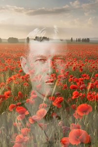 In Flanders Fields In Flanders fields, the poppies blow Between the crosses, row on row, That mark our place; and in the sky The larks, still bravely singing, fly Scarce heard amid the guns below. We are the Dead. Short days ago We lived, felt dawn, saw sunset glow, Loved and were loved, and now we lie, In Flanders fields. Take up our quarrel with the foe: To you from failing hands we throw The torch; be yours to hold it high. If ye break faith with us who die We shall not sleep, though poppies 