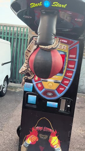 Python Wrapped Around Boxing Arcade Machine