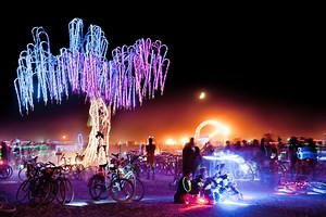 Charles Gadeken's Interactive LED Willow Tree Sculpture 'Aurora' is Coming to Palo Alto