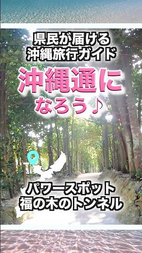 [Okinawa Travel Guide] A Breathtaking Green Tunnel #OkinawaTravel #OkinawaSightseeing #Okinawa