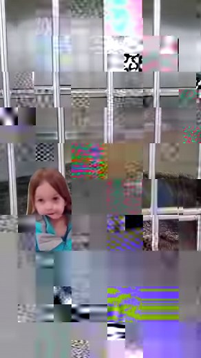 3K views · 25 reactions |  But like can I? ~ Adopt today: adoption@torontohumanesociety.com | Toronto Humane Society | Facebook