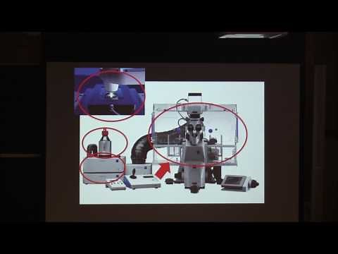 Introduction to live cell imaging