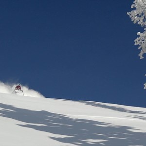 Powder days are precious. Trade traffic and lift lines for wide-open slopes at Powder Mountain—independent and uncrowded since 1972. | Powder Mountain