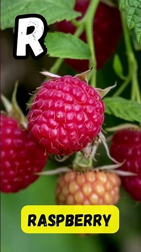 ABC Fruit Song 🍇🍉 | Fun Fruit Alphabet for Kids | A to Z Fruits | #abcd #kids #shorts #learning