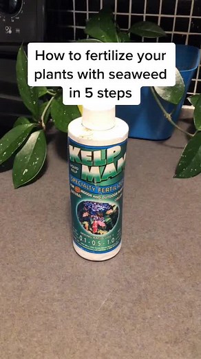 growithjessie on TikTok