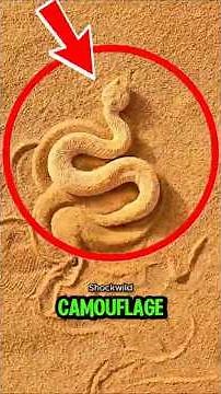 TOP 5 ANIMALS WITH THE BEST CAMOUFLAGE SKILLS! 🐾🌿🪵