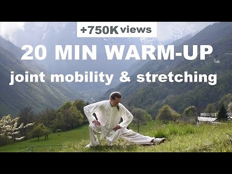20 MIN TAI CHI WARM UP AND STRETCH - Joint Mobility, Stretching & Relaxation as an Anti Aging System