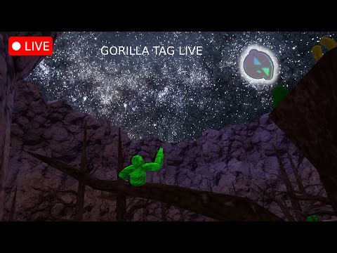🔴Gorilla Tag Fan Lobby and Minigames | LIVE 🔴 #gorillatag #live #shorts