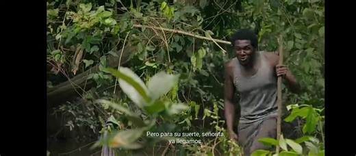 Explorando la Selva: La Canción de Charly Flow