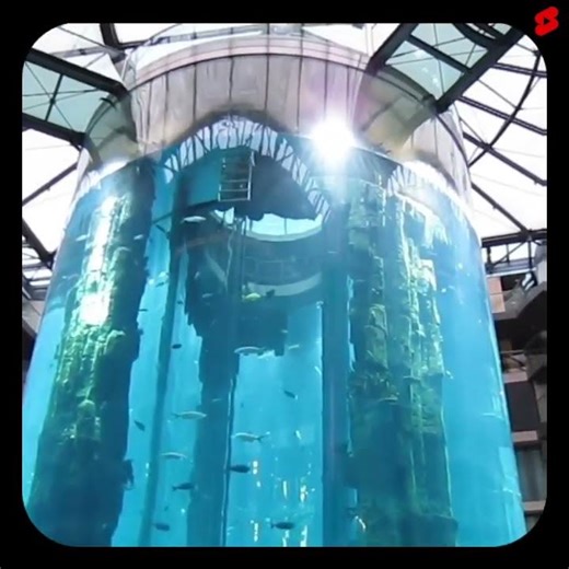 ⚡⚡The largest aquarium in the world |⚡Interesting Facts