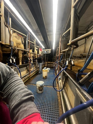 8.1K views · 106 reactions | Opening our farm up to agriculture...