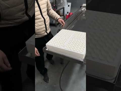automatic small volume nicotine powder filling machine with auger servo filler Poland #powderfiller