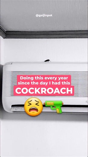 GaijinPot | Cockroaches in Japan start becoming active in late spring and stick around during the hot and humid months — typically from May to... | Instagram