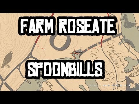 30+ SPOONBILL PLUMES Best Location To Farm! Exotic Mission RDR2