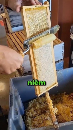 Bên Trong Có Gì Mà Khiến Ai Cũng Thích Mật Ong?😳