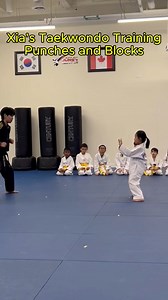 Xia’s Taekwondo Training: Punches and Blocks #taekwondo #taekwondotraining #ilovetaekwondo #kix #martialarts #highlightseveryone #reelsfypシ | Xanjoe & Xia