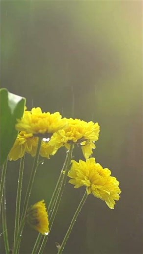 Ode — Praise Given | Example Poem #poetry #booktok #poem