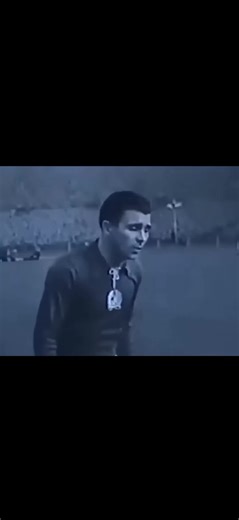 YUCCA_ SUPPORT on TikTok