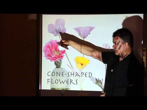 How to Draw Wildflowers by John Muir Laws