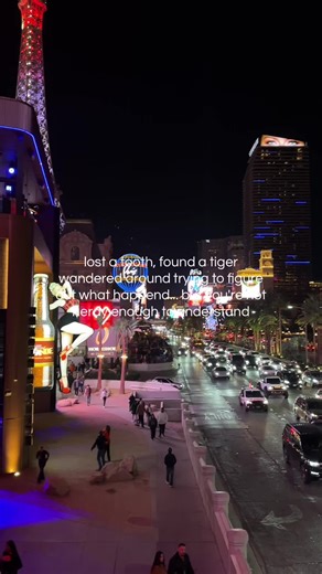 🐅🥂🎰#foryoupage #thestrip #lasvegas #thehangover | las vegas strip