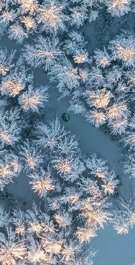 Effective Camp Security: Setting Up Tripwire Alarm System