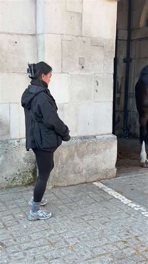 22K views · 136 reactions | She slowly approaches the white line. #thekingsguardslondon #fbreels | The King's Guards London | Facebook