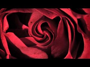 History of the Rosary