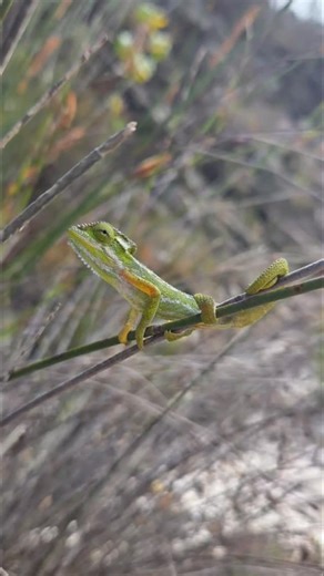 Epic Sunday at Riviersonderend with this crazy bunch. Had some epic laughs. | Pebble Sky Adventures