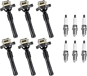 ENA 6 Ignition Coil Pack Platinum Spark Plug Compatible with BMW 320i 323Ci 323i 325Ci 325i 325xi 328Ci 330i 525i 528i 530i M3 X5 Z3 750iL 850Ci 2.2L 2.5L 2.8L 3.0L 3.2L for UF300 UF354 3199 BKR6EQUP