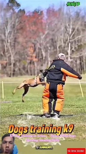 K9 Dog Training in Action 🐕‍🦺 Smart Police Dogs Showing Amazing Skills #pets #smartdog #malinois