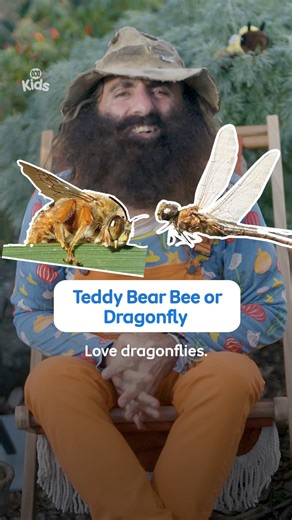 Asking Costa all the tough questions 🐝🦉 Do you agree with Costa’s favourite? 🤔 #GardeningAustralia #GardeningAustraliaJunior #ThisOrThat | ABC Kids Community