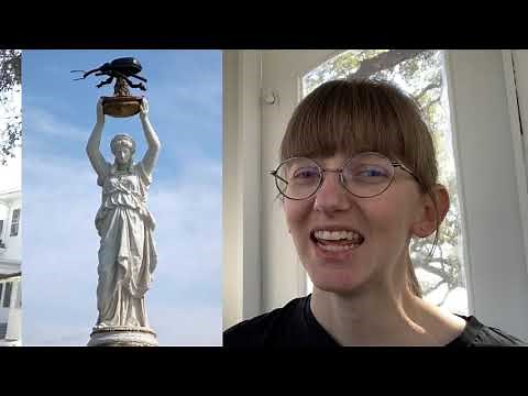 Plug into History: the Boll Weevil