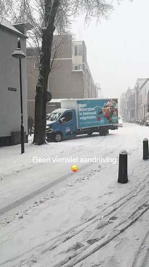 Sneeuw en Bezorgservice bij Albert Heijn: Een Dag in het Leven
