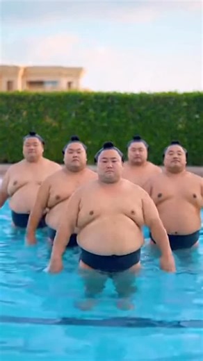 Sumos Synchronized swimming.  • • #viral #funny | Sumo’s Doing Things | Facebook