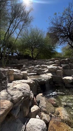 Morning at Saguaro Buttes Wedding Venue | Tucson AZ Desert Ambiance