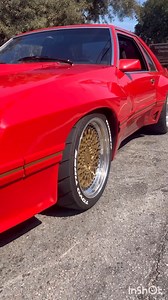 Check out Derek Whitacre's super rare 1982 Mustang GT Enduro DSO, a part of the M81 McLaren Mustang program from 1980 and 1981.🐎 It’s been recently upgraded with our 347 Stroker! Did you know this car existed? #BluePrintEngines #Ford #Mustang #BlueOval #McLaren | BluePrint Engines