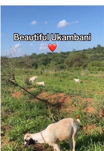 Exploring Salukya Farms in Beautiful Ukambani