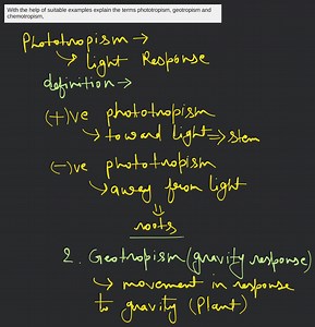 With the help of suitable examples explain the terms phototropi... | Filo