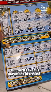 48K views · 363 reactions | This cat found a lotto scratcher on the sidewalk and it turned out to be a winner! 螺 | Try Not to Laugh | Facebook