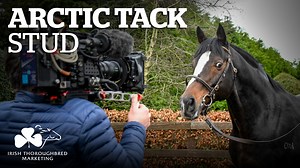 8.7K views · 180 reactions | ITM Irish Stallion Showcase  Arctic Tack Stud is home to Jet Away & Ol' Man River (IRE). Eoin Banville reveals more about these two exciting stallions & the many top horses the farm has bred. Find out more  bit.ly/2KHBt3D #irishstallionshowcase #farmflix | Irish Thoroughbred Marketing (ITM) | Facebook
