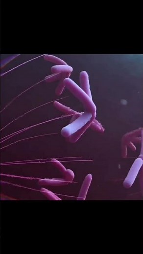 Mitosis animation - Cell Division - Easy and simple #animation #shortvideo #biology #mitosis #cell