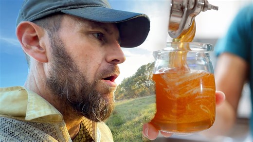 I discovered why our bees disappeared 🐝