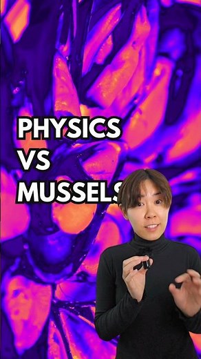 Electromagnetic radiation harms zebra mussels #science