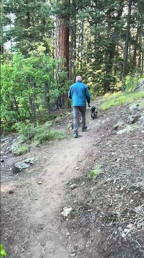 Haviland Lake Camping w/dogs!