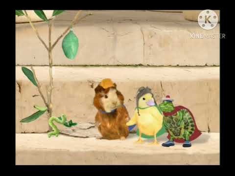 Turtle Tuck (Wonder Pets) (UK Dub)