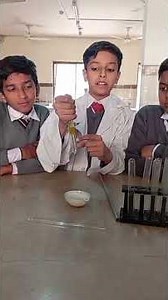 Emulsification II Mixing of oil and water#science #chemistry