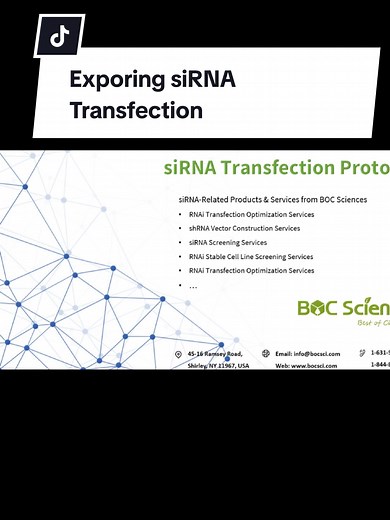 📚siRNA transfection is a technique that uses small interfering RNA (siRNA) molecules to guide the RNA interference (RNAi) mechanism, silencing the expression of specific genes. BOC Sciences offers high-quality siRNA products and comprehensive services, specializing in custom synthesis of various siRNA sequences to meet diverse research needs. In addition to standard siRNA synthesis, we provide optimized siRNA designs based on customer requirements, including efficient transfection reagents and