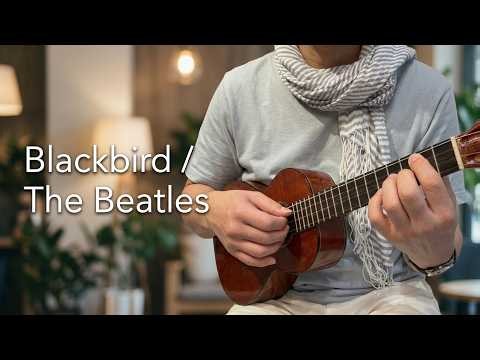 ウクレレビートルズ！「Blackbird / The Beatles」ウクレレソロ Blackbird